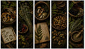 The Forager - Goblincore Bookmarks | Woodland Botanical, Edible Mushrooms, Forager Art, Digital Download