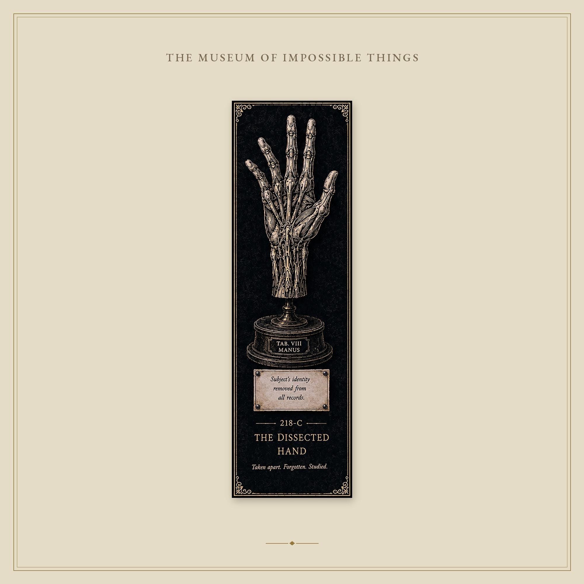 Anatomical Specimens Bookmark | Dark Academia Set of 5 | Standard or Magnetic | Gothic Cabinet of Curiosities