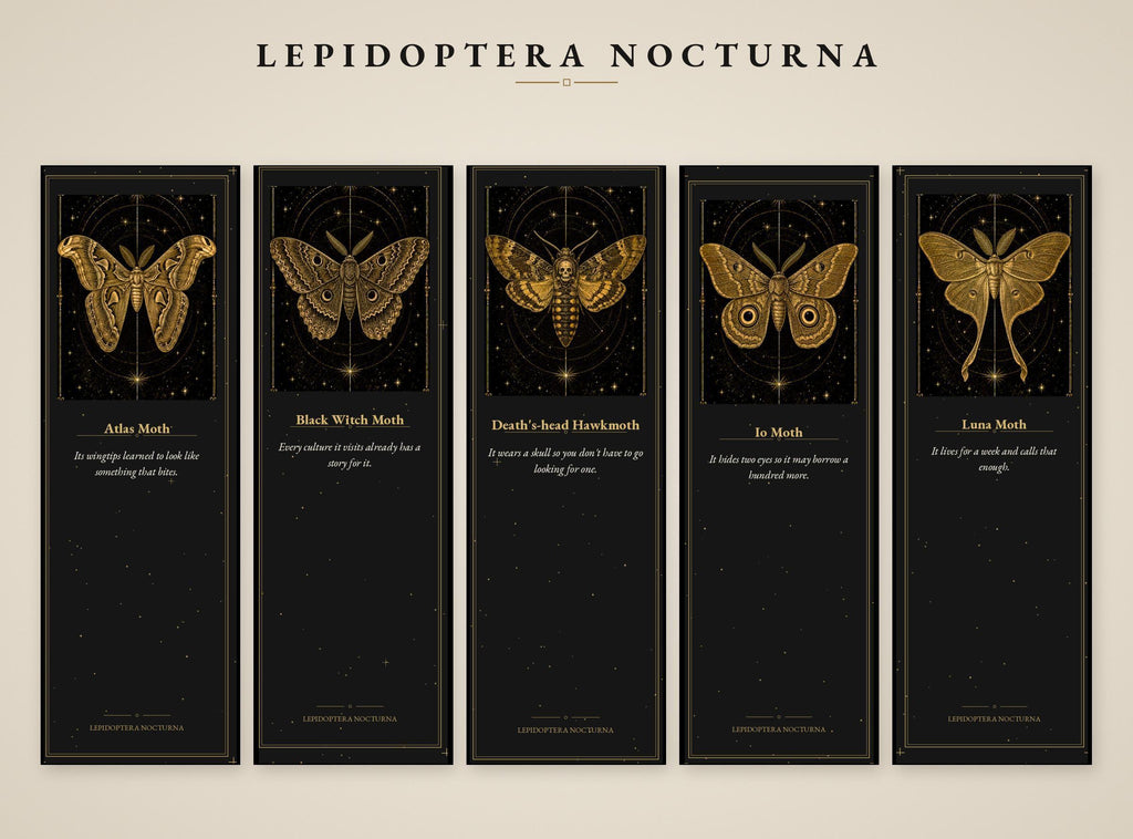 Lepidoptera Nocturna Bookmark, Victorian Moth Specimens | Gold Linework | Dark Academia Page Marker | Magnetic Option