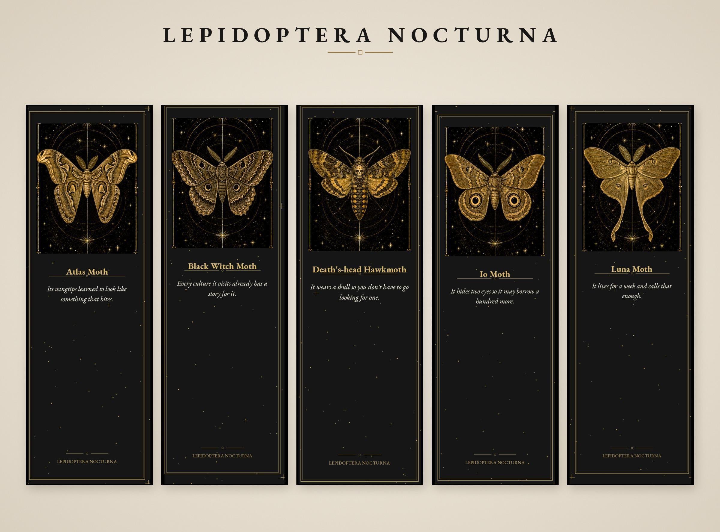 Lepidoptera Nocturna Bookmark, Victorian Moth Specimens | Gold Linework | Dark Academia Page Marker | Magnetic Option