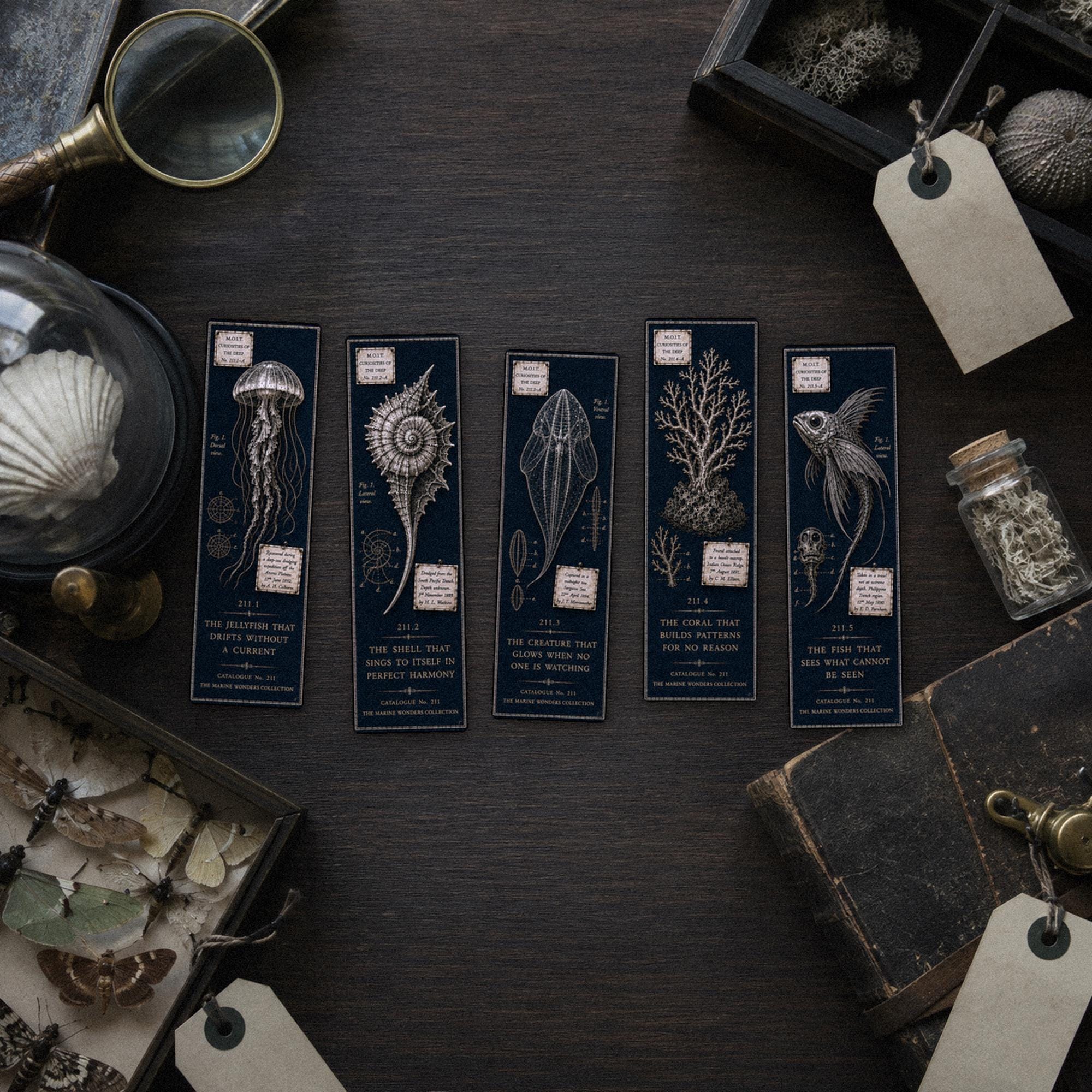 Marine Wonders Bookmark | Dark Academia Set of 5 | Standard or Magnetic | Gothic Cabinet of Curiosities
