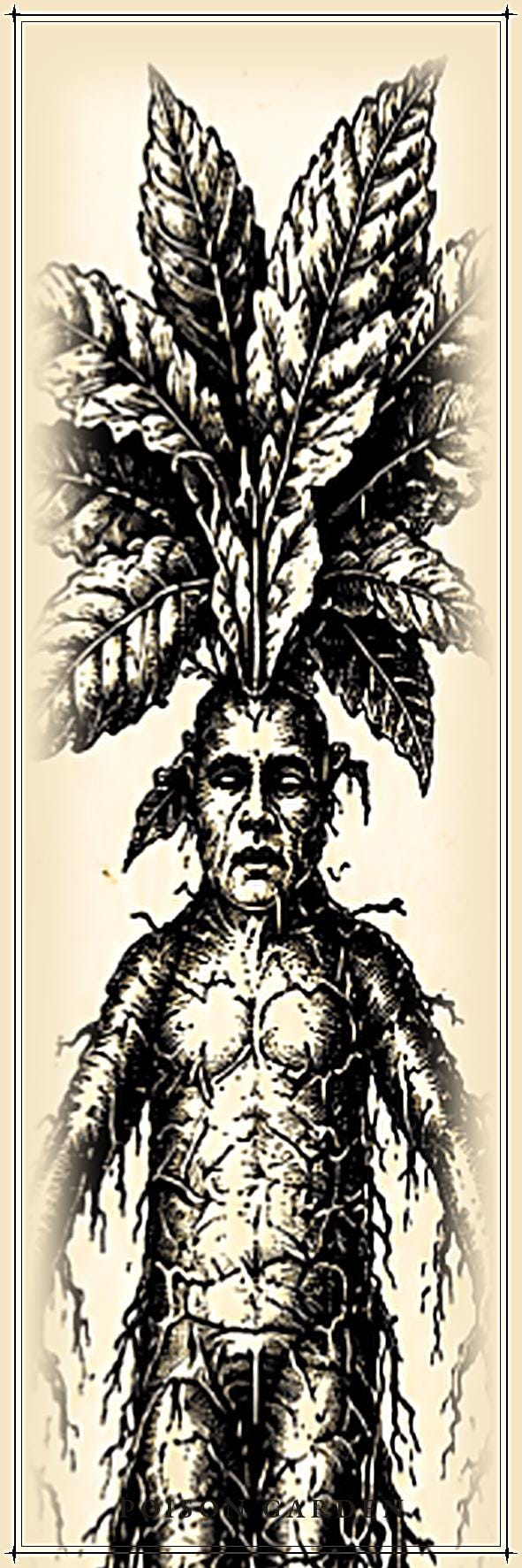 The Poison Garden Bookmarks Printable | Botanical Dark Academia Bookmarks | Gothic Plant Illustration | Digital Download Print & Cut