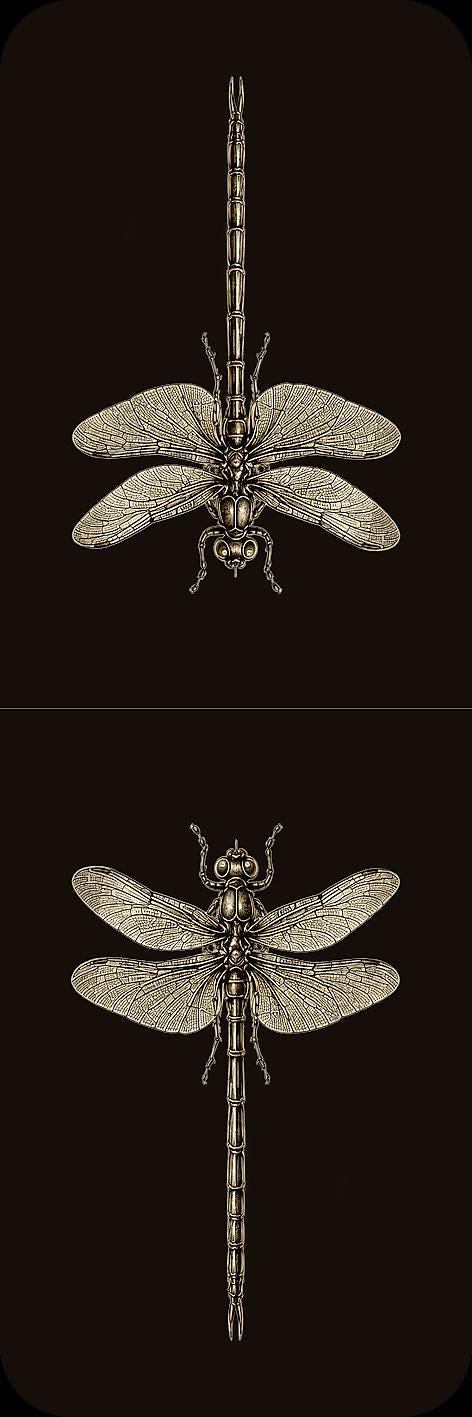 Entomological Curiosities Bookmark | Dark Academia Set of 5 | Standard or Magnetic | Gothic Cabinet of Curiosities