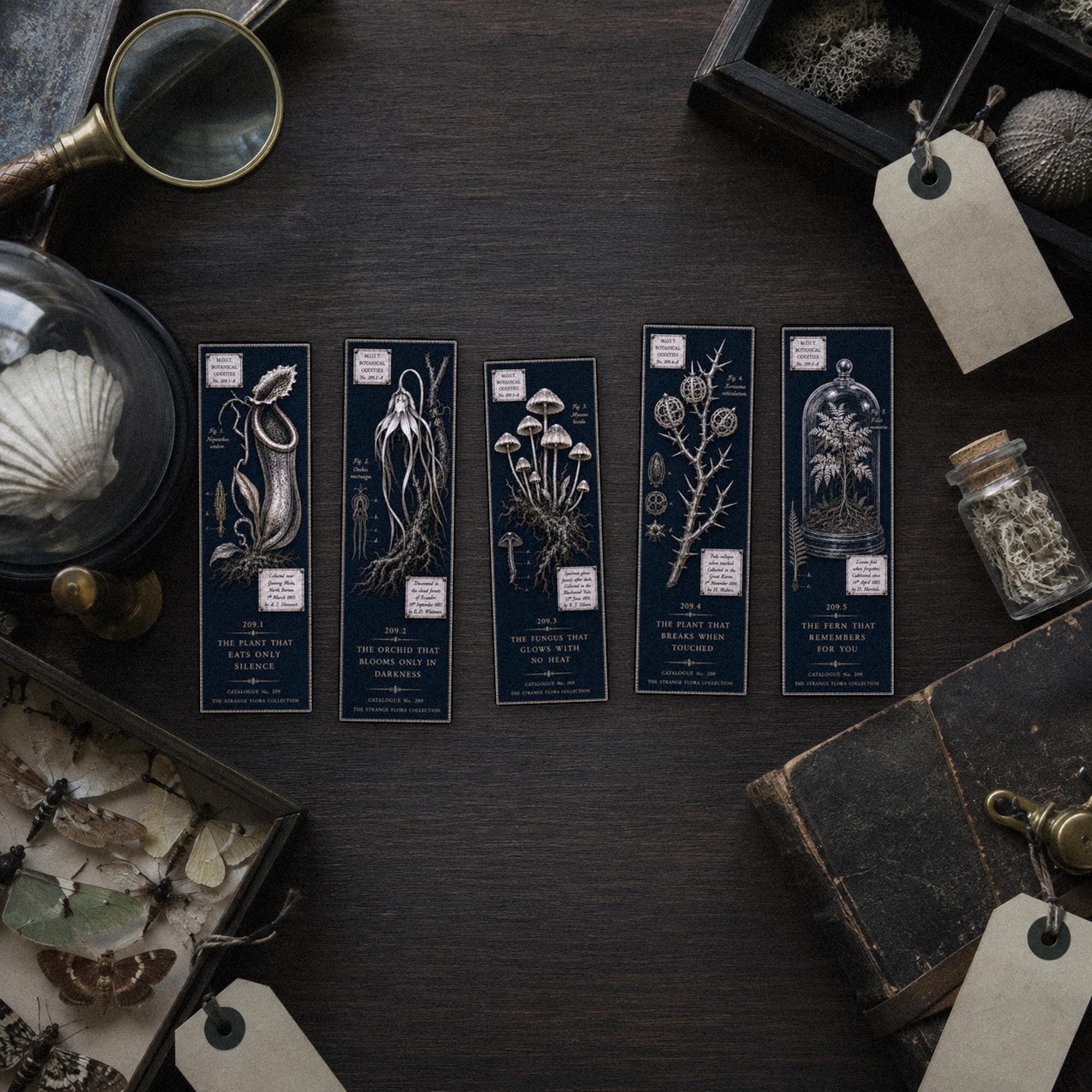 Strange Flora Bookmark | Dark Academia Set of 5 | Standard or Magnetic | Gothic Cabinet of Curiosities