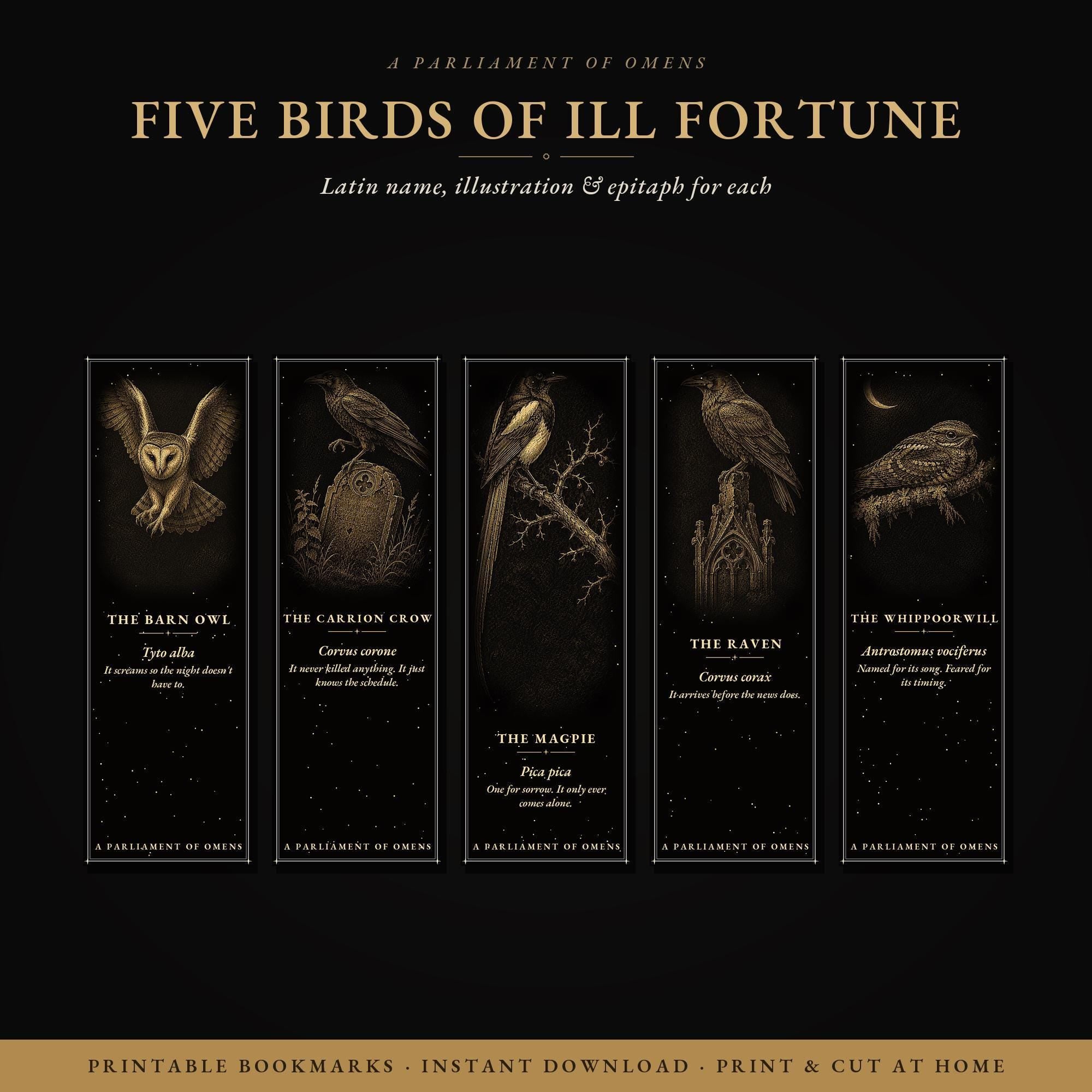 A Parliament of Omens Bookmark, Dark Academia Raven | Gold Detail | Magnetic Page Marker, Witchy Book Lover