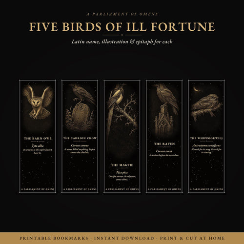 A Parliament of Omens Bookmark, Dark Academia Raven | Gold Detail | Magnetic Page Marker, Witchy Book Lover