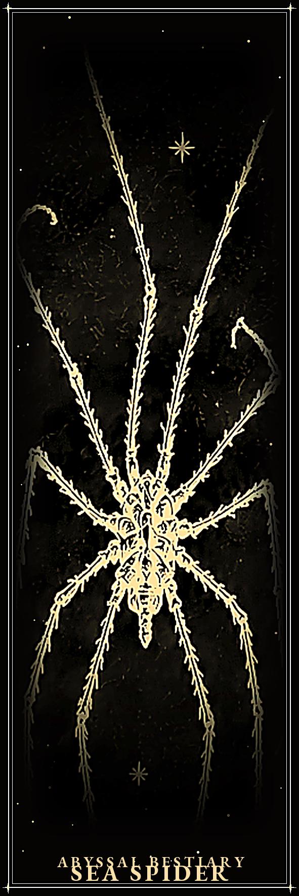 Deep Sea Creature Bookmarks Printable | Dark Academia Gothic Bookmarks | Abyssal Bestiary | Digital Download Print & Cut