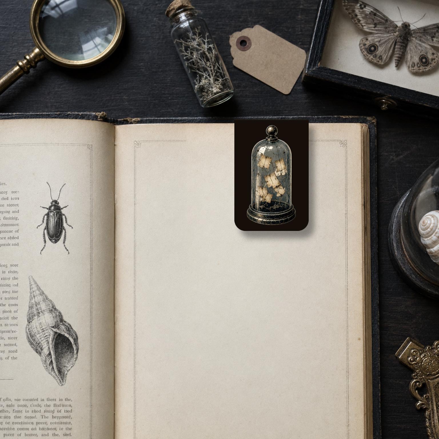 The Curator's Locked Cabinet Bookmark | Dark Academia Set of 5 | Standard or Magnetic | Gothic Cabinet of Curiosities