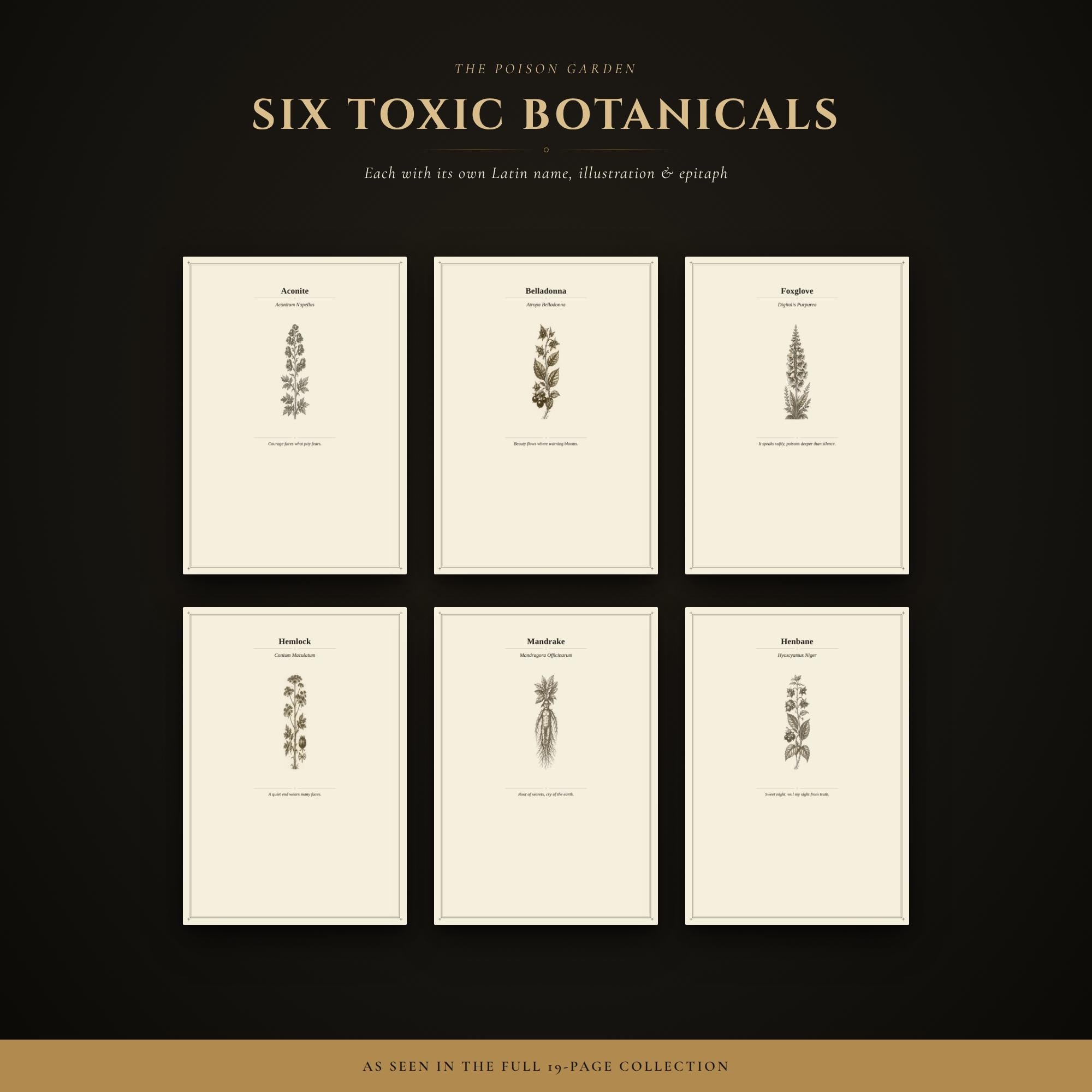 The Poison Garden - Grimoire of Forbidden Botanicals | Dark Academia Printable | Toxic Plants Journal Pages | Witchy Dividers
