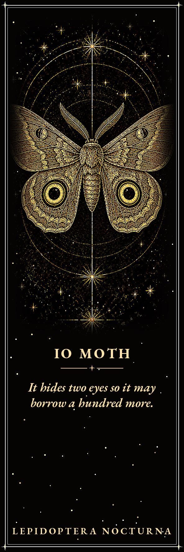 Lepidoptera Nocturna, Victorian Specimen Cabinet | Dark Academia Moth Bookmark | Gold Linework Printable | Five Species Illustrated
