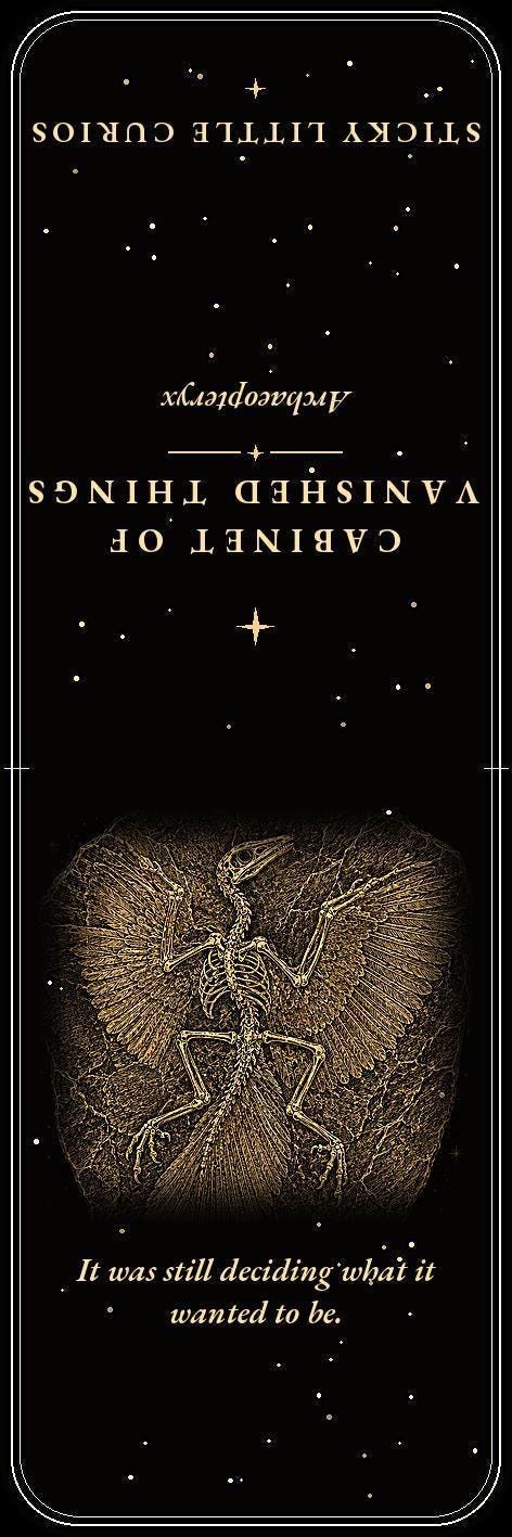 Cabinet of Vanished Things Bookmark, Dark Academia Fossil Art | Paleontology Page Marker | Magnetic or Standard