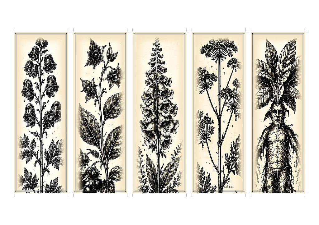 The Poison Garden Bookmarks Printable | Botanical Dark Academia Bookmarks | Gothic Plant Illustration | Digital Download Print & Cut