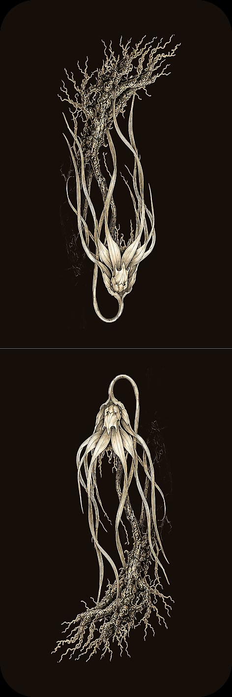 Strange Flora Bookmark | Dark Academia Set of 5 | Standard or Magnetic | Gothic Cabinet of Curiosities