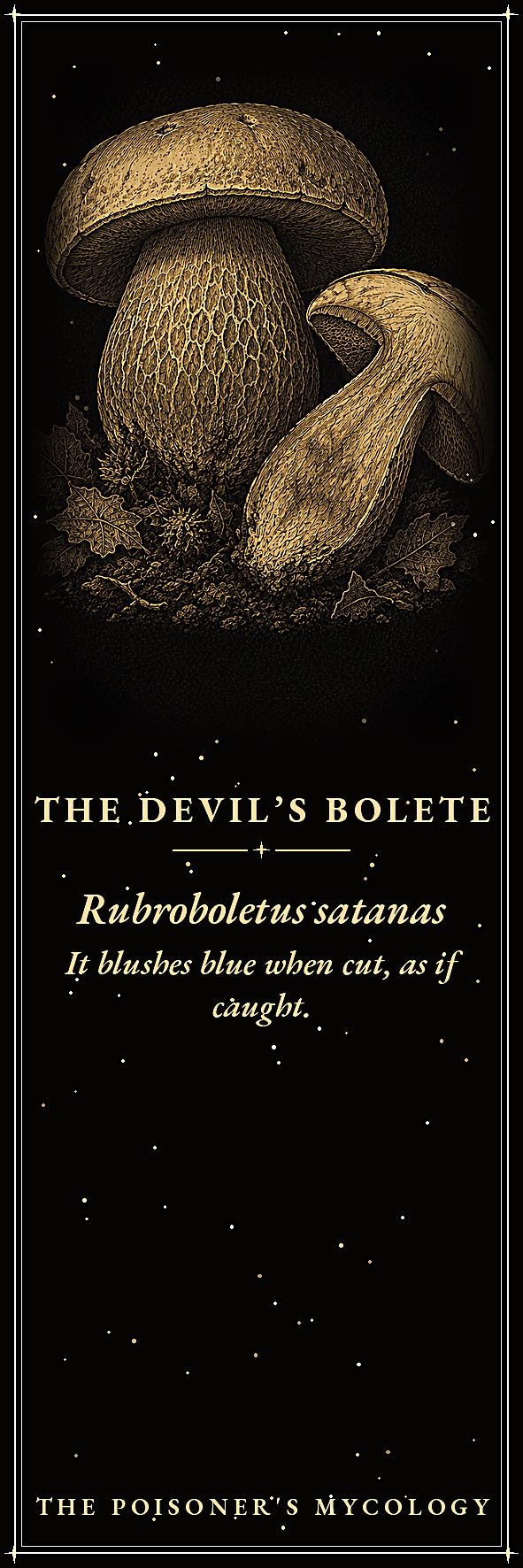 The Poisoner's Mycology Printable Bookmarks | Dark Academia Gothic | Toxic Fungi Page Markers | Occult Gift Set