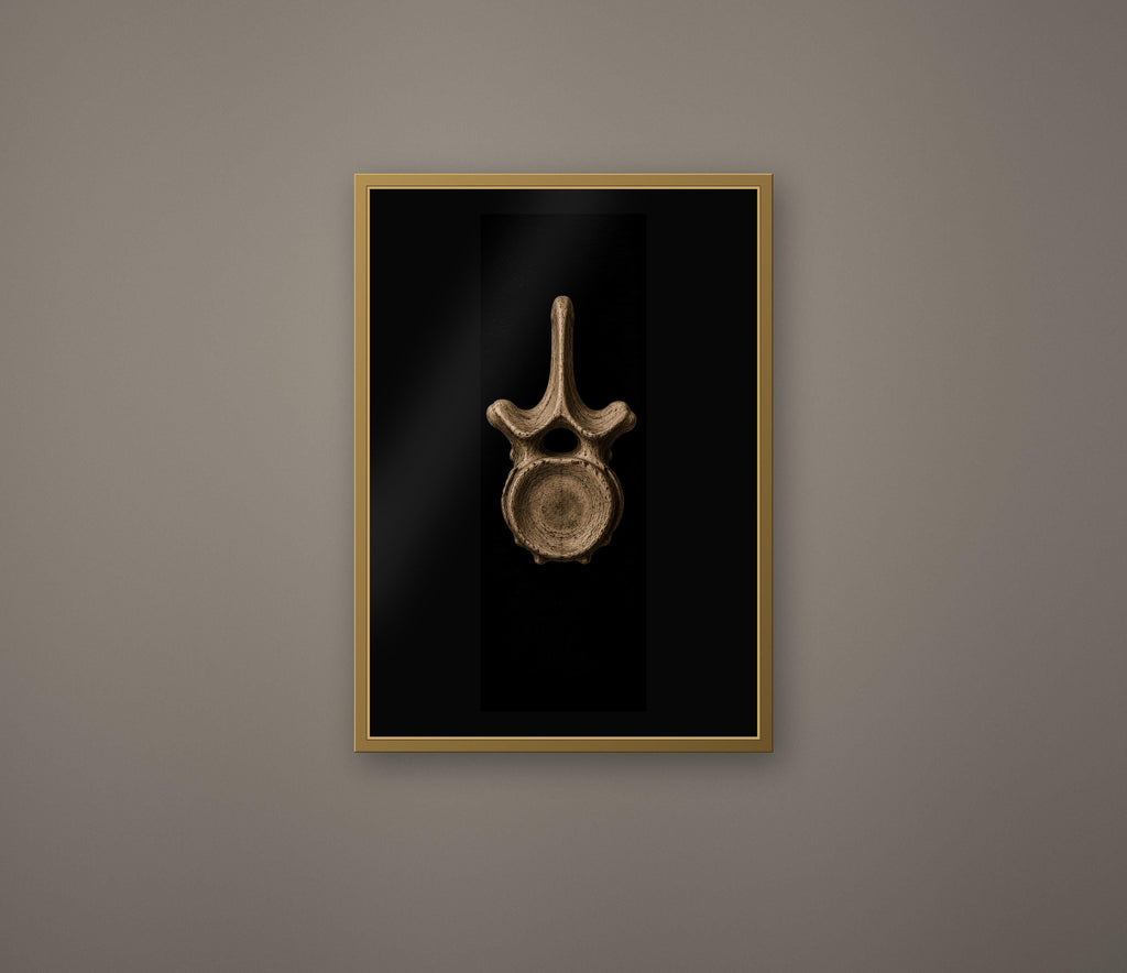 Whalebone Curiosities: Dark Academia Wall Art | Gothic Relics, Printable Digital Download | Sperm Oil Lamp, Whale Themed Illustrations