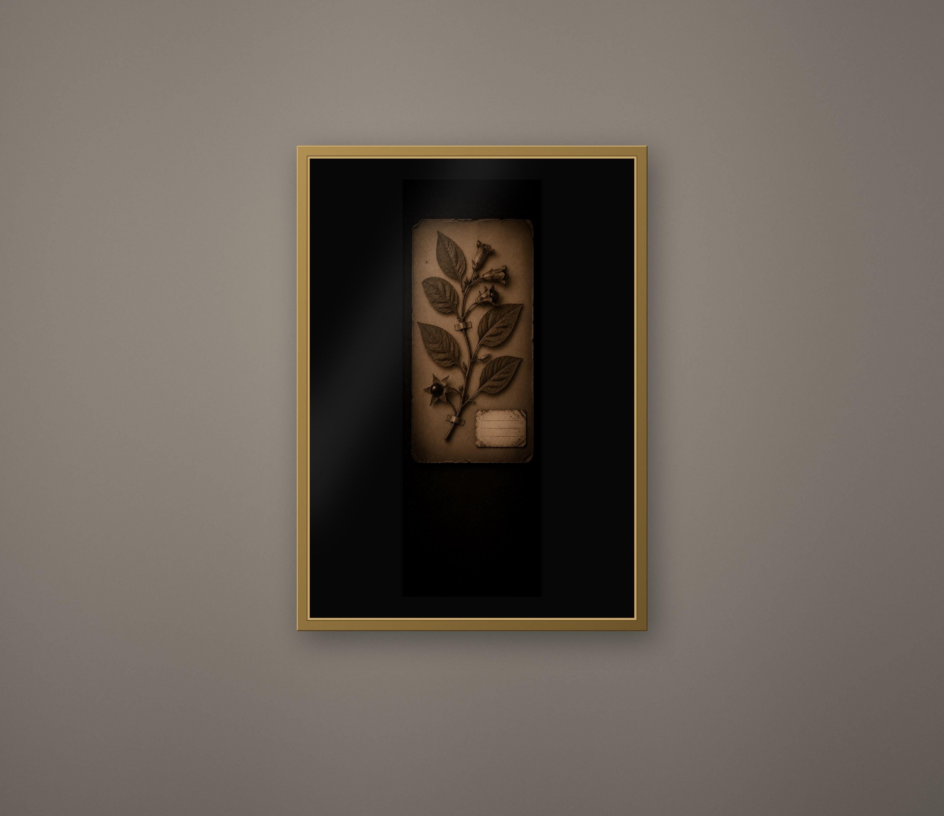 Black Herbarium Prints, Poisoner's Cabinet | Dark Academia Gothic Art | Antique Botanical | Digital Download