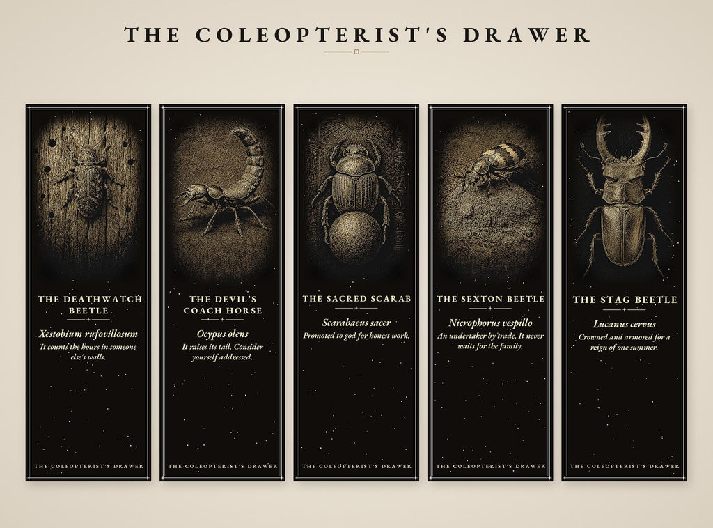 The Coleopterist's Drawer: Dark Academia Beetle Bookmarks | Gothic Printable | Digital Download, Occult Stationery