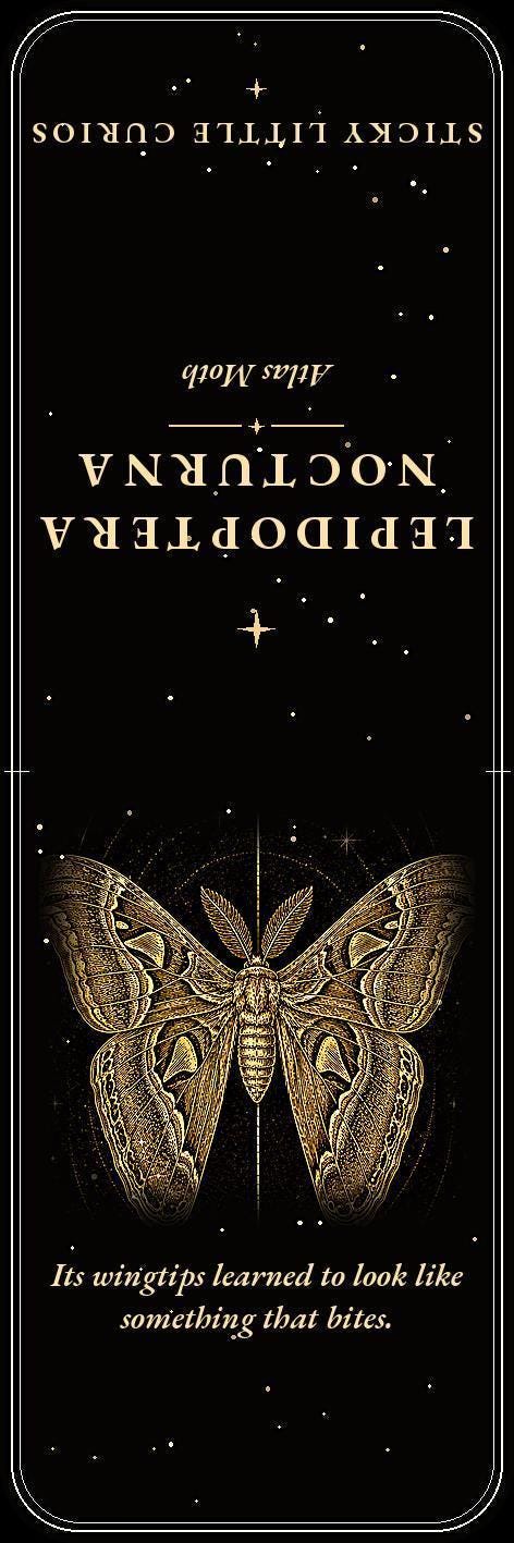 Lepidoptera Nocturna Bookmark, Victorian Moth Specimens | Gold Linework | Dark Academia Page Marker | Magnetic Option