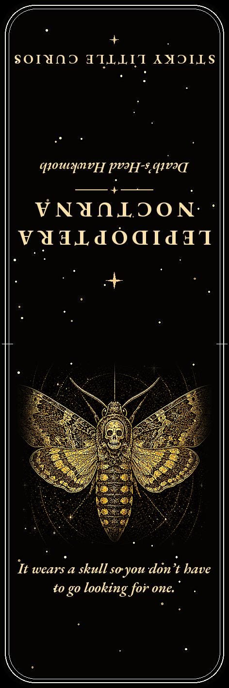 Lepidoptera Nocturna Bookmark | Dark Academia Moth Specimen Bookmark | Standard or Magnetic Page Marker
