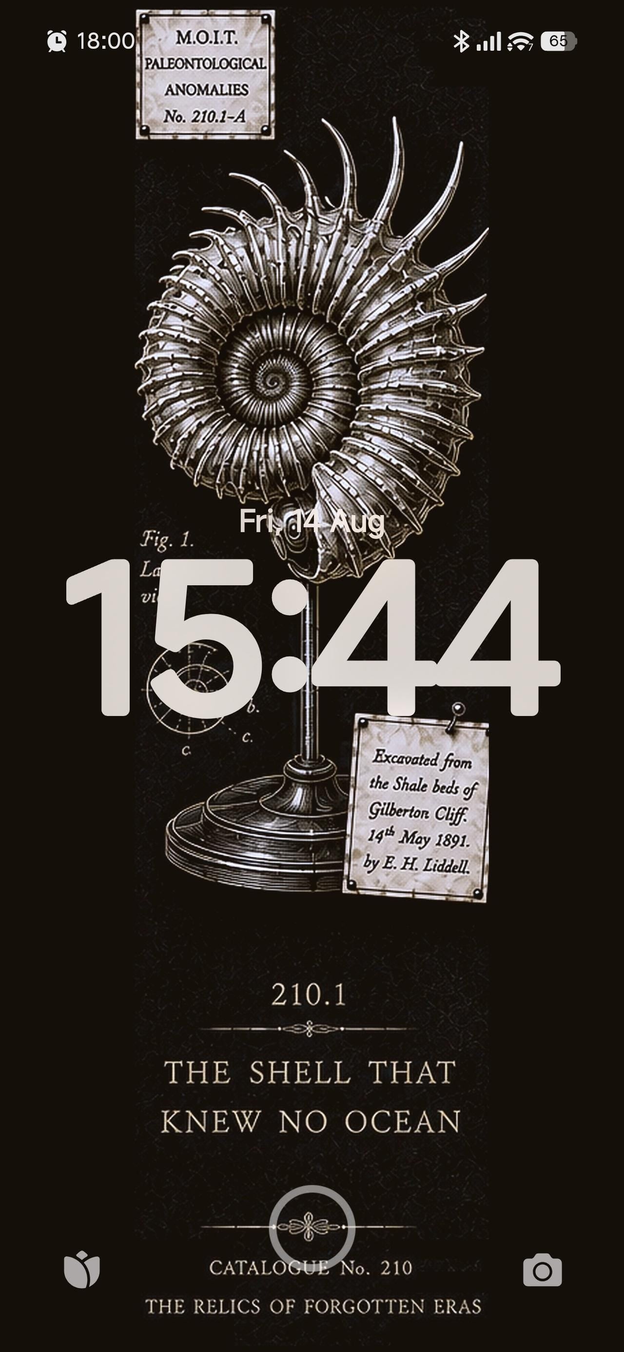 Relics of Forgotten Eras, Dark Academia Lock Screen | Specimen Collection, Gothic Phone Wallpaper, Instant Download