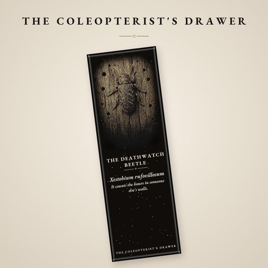 The Coleopterist's Drawer Bookmark | Gold On Black | Dark Academia Entomology | Magnetic Page Marker | Hand-Finished