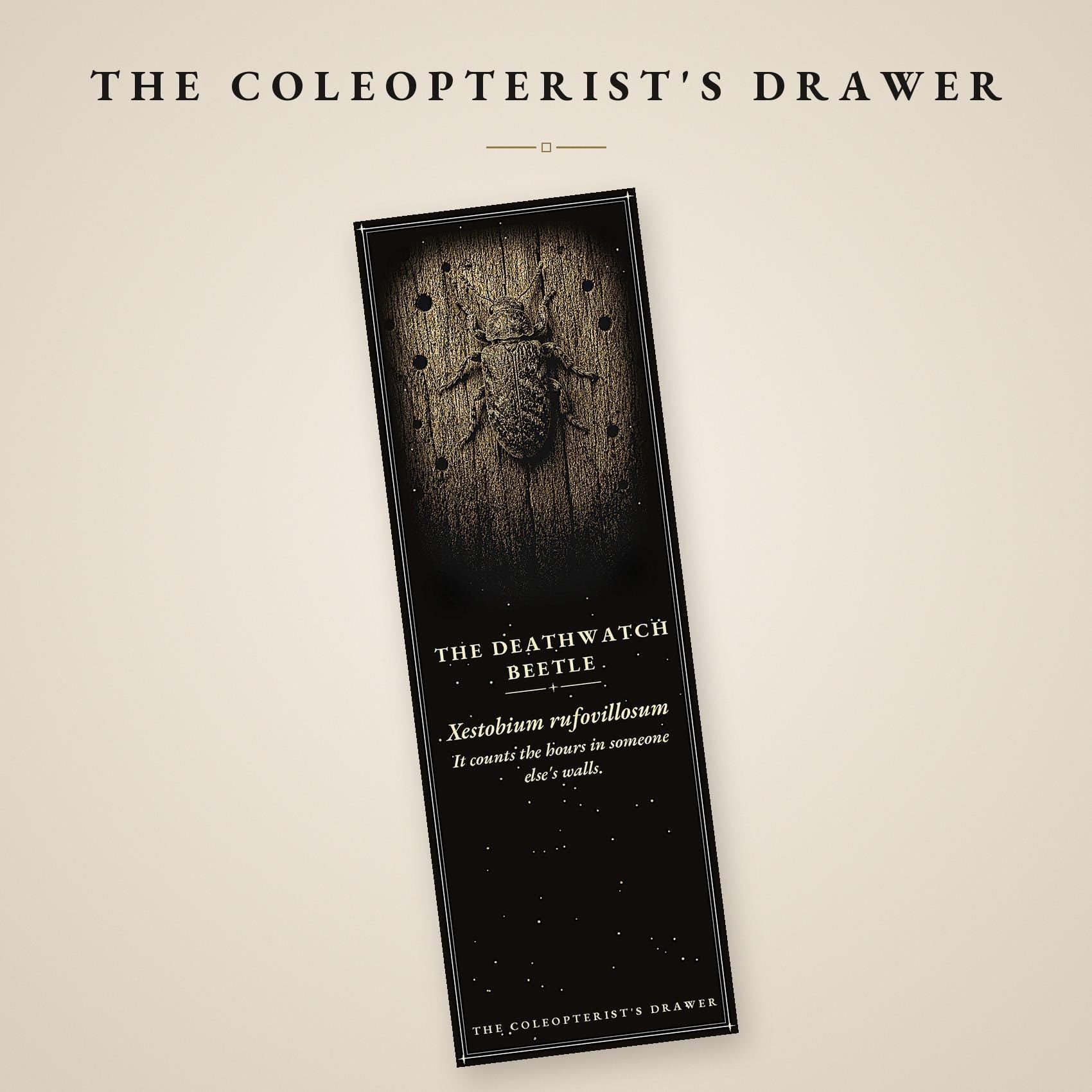 The Coleopterist's Drawer Bookmark | Gold On Black | Dark Academia Entomology | Magnetic Page Marker | Hand-Finished