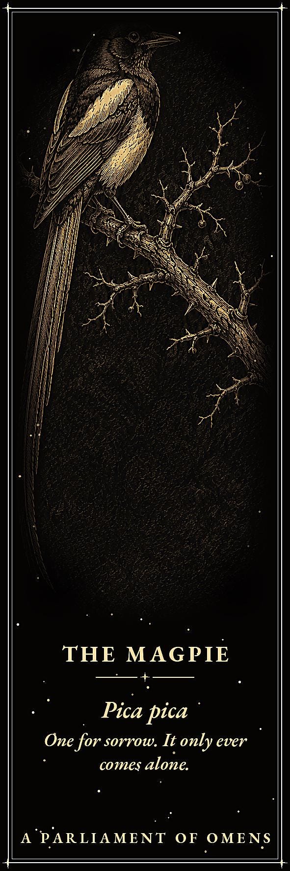 A Parliament of Omens Bookmark | Dark Academia Raven Crow Bookmark | Standard or Magnetic Page Marker