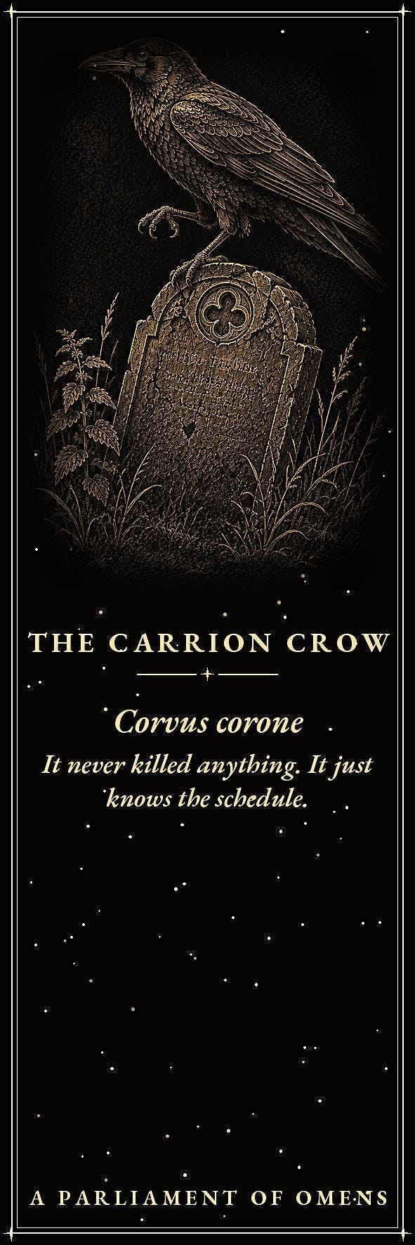 A Parliament of Omens Bookmark, Dark Academia Raven | Gold Detail | Magnetic Page Marker, Witchy Book Lover