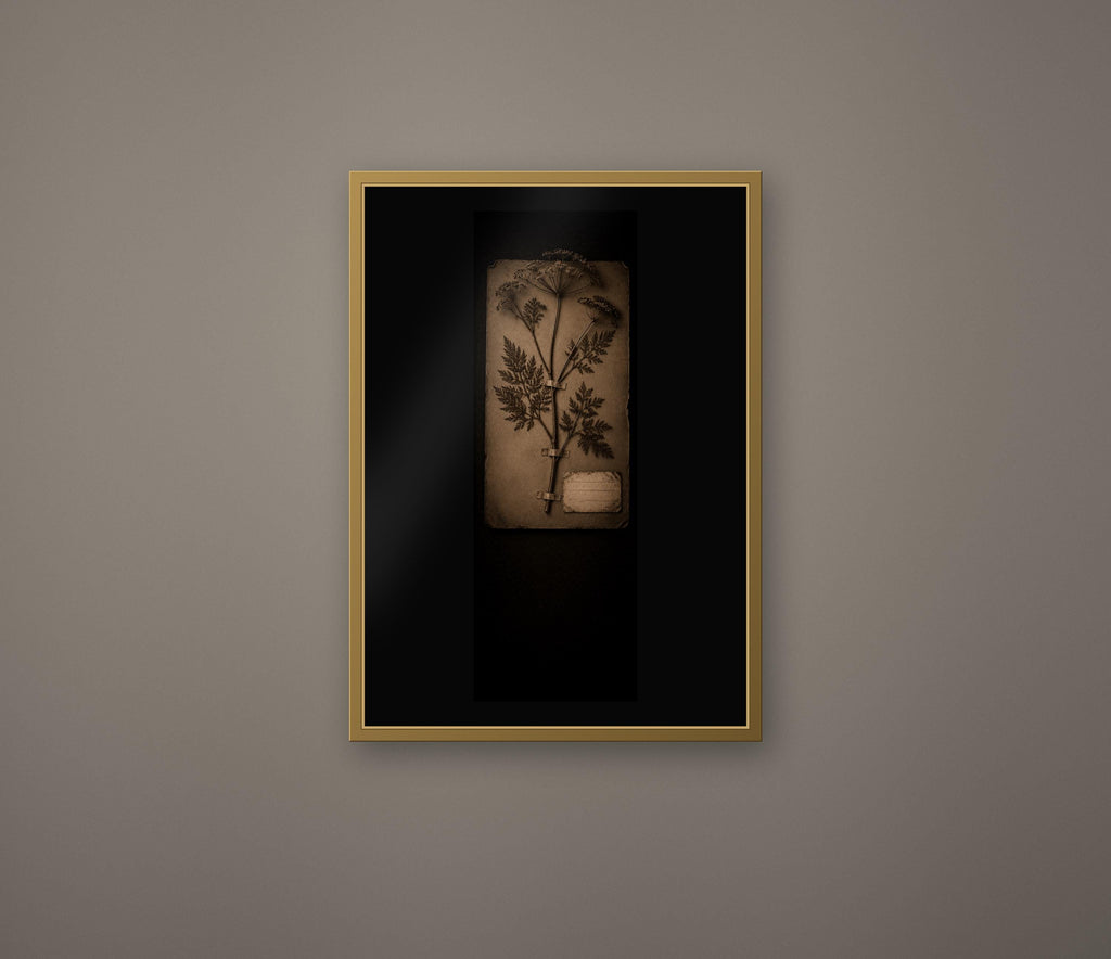 The Black Herbarium — Gothic Wall Art Collection | Digital Download