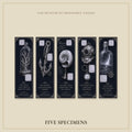 Relics of Impossible Seas Bookmark | Dark Academia Set of 5 | Standard or Magnetic | Gothic Cabinet of Curiosities