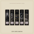 The Watcher in the Woods Bookmark | Dark Academia Set of 5 | Standard or Magnetic | Gothic Cabinet of Curiosities