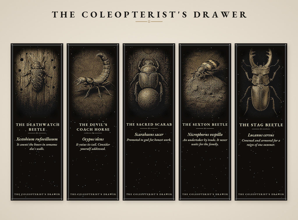 The Coleopterist's Drawer Bookmark | Gold On Black | Dark Academia Entomology | Magnetic Page Marker | Hand-Finished
