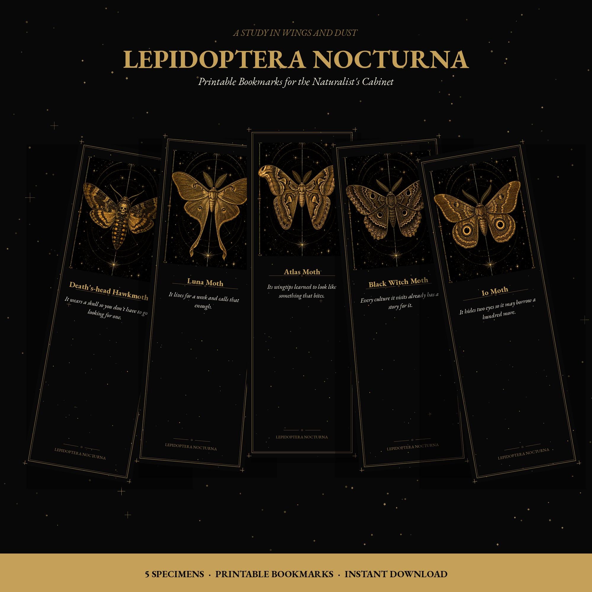 Lepidoptera Nocturna Printable Bookmarks | Dark Academia Moth Bookmark Set | Victorian Naturalist Specimen Digital Download
