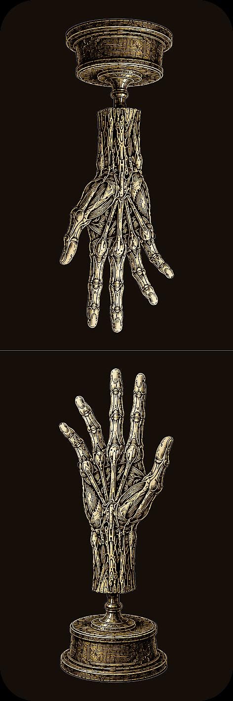 Anatomical Specimens Bookmark | Dark Academia Set of 5 | Standard or Magnetic | Gothic Cabinet of Curiosities