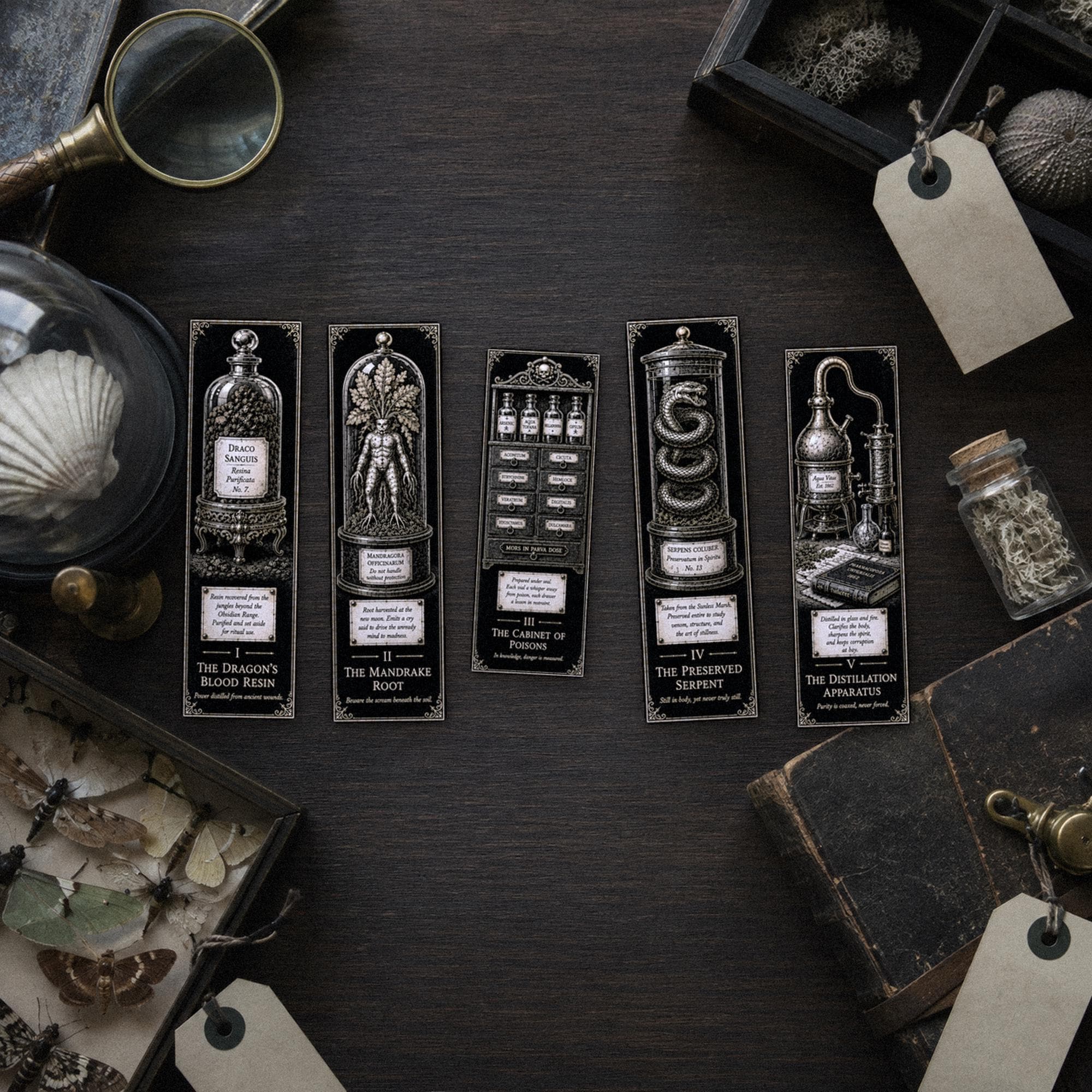 The Apothecary's Cabinet Bookmark | Dark Academia Set of 5 | Standard or Magnetic | Gothic Cabinet of Curiosities