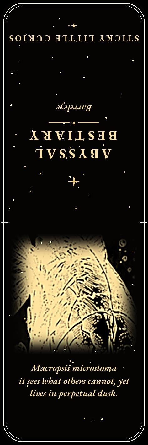 Abyssal Bestiary Bookmark | Dark Academia Deep Sea Bookmark | Standard or Magnetic Page Marker