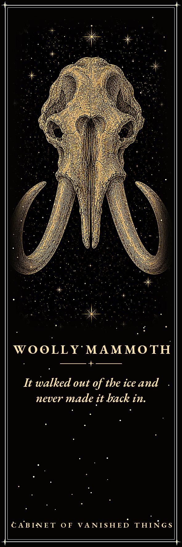 Specimens of What the Earth Forgot, Printable Bookmarks | Extinct Species Gold Linework | Dark Academia | Digital Download