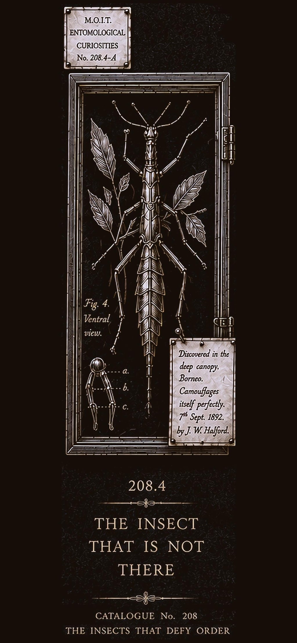 Entomological Curiosities Phone Wallpaper | Dark Academia Lock Screen Bundle | Five Specimen Designs | Digital Download | Moody Gold Insects