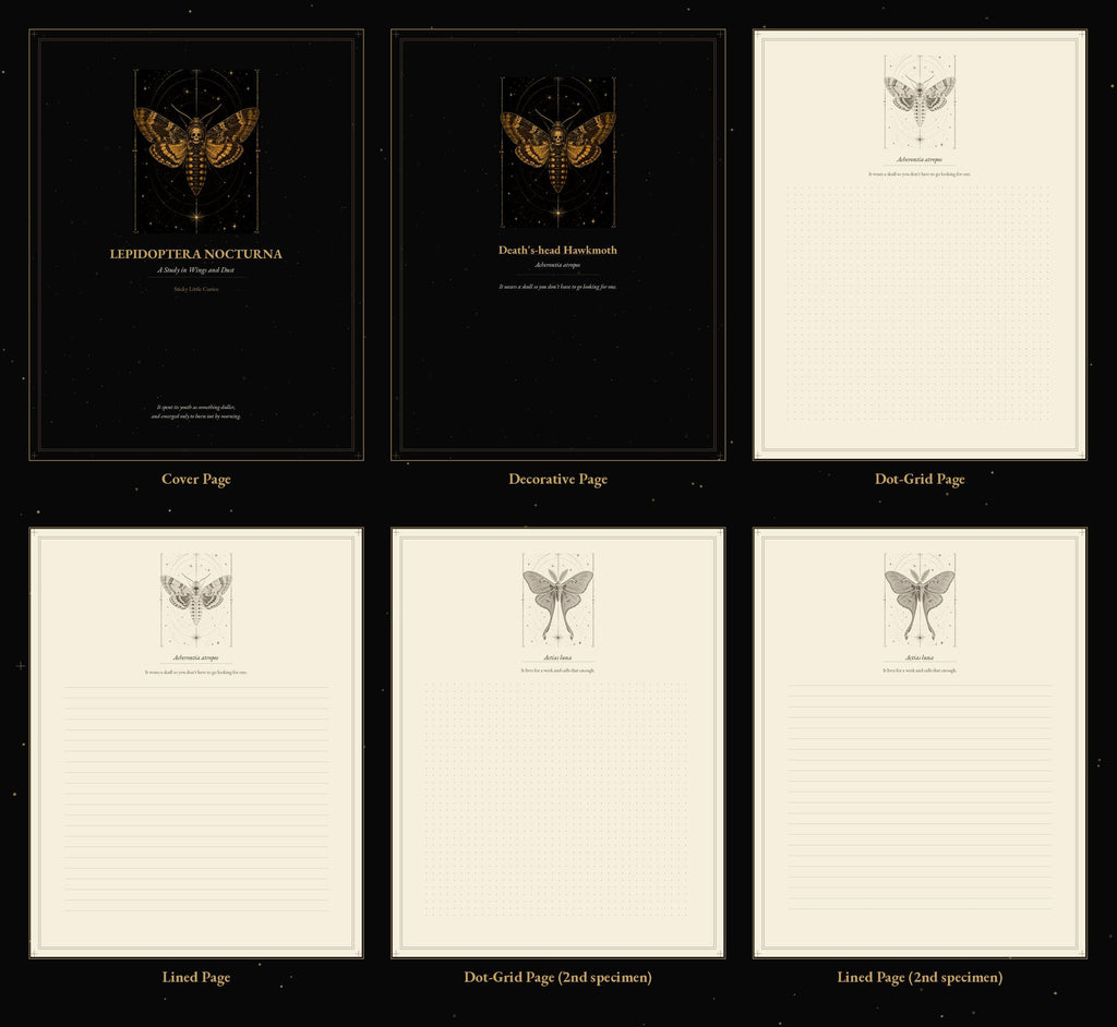 Lepidoptera Nocturna Journal Pages, Engraved Moth Specimen Study | Naturalist Cabinet Printable | Sepia Dot Grid | Digital Download