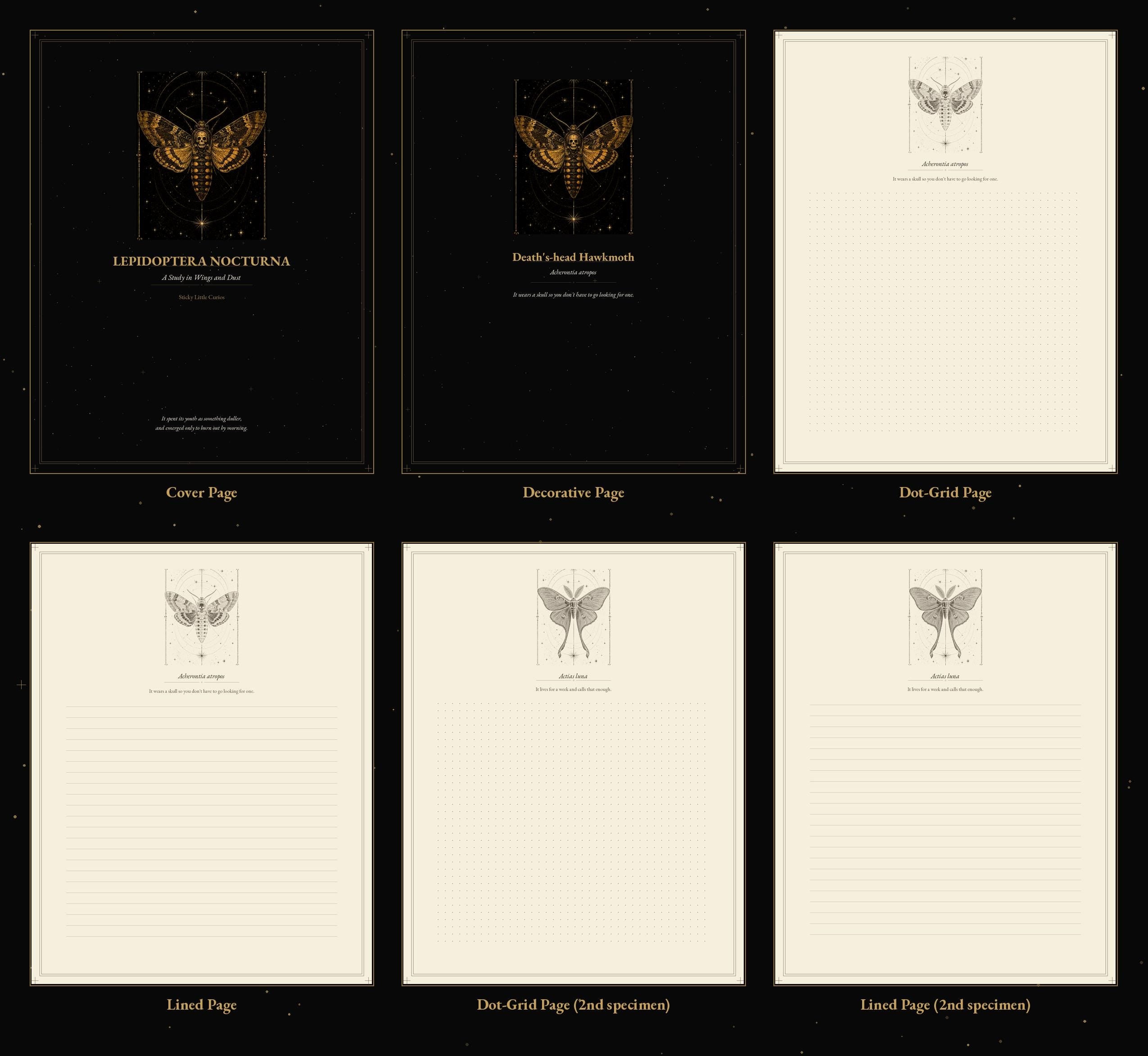 Lepidoptera Nocturna Journal Pages, Engraved Moth Specimen Study | Naturalist Cabinet Printable | Sepia Dot Grid | Digital Download