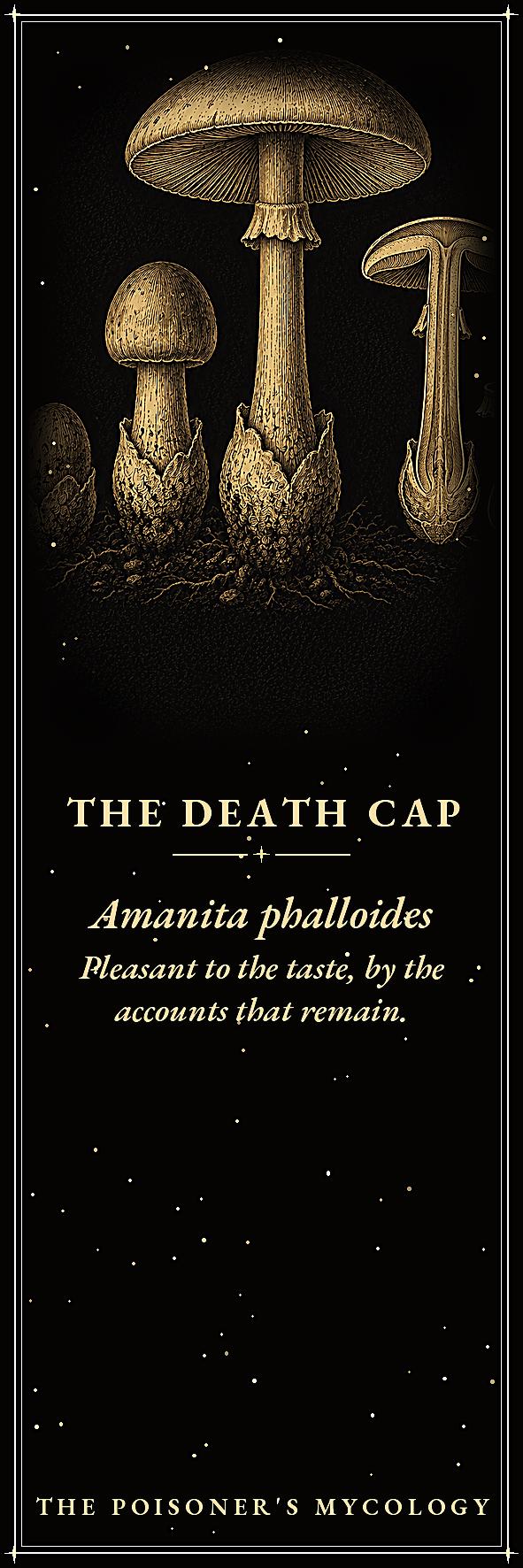 The Poisoner's Mycology Printable Bookmarks | Dark Academia Gothic | Toxic Fungi Page Markers | Occult Gift Set