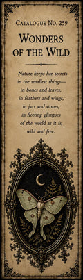Wonders Of The Wild - Dark Academia Bookmarks | Printable Page Markers, Antique Gold On Black | Literary Gift Set