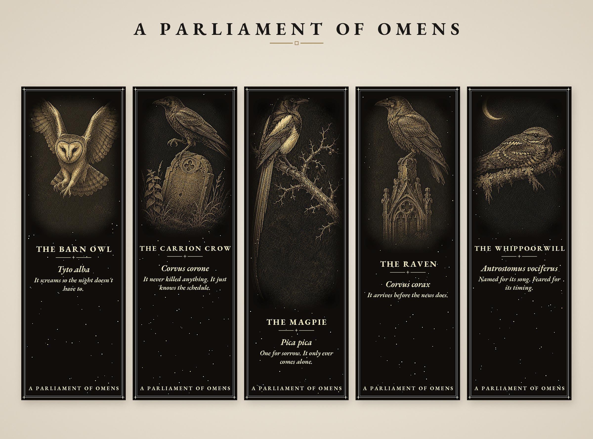 A Parliament of Omens Bookmark, Dark Academia Raven | Gold Detail | Magnetic Page Marker, Witchy Book Lover