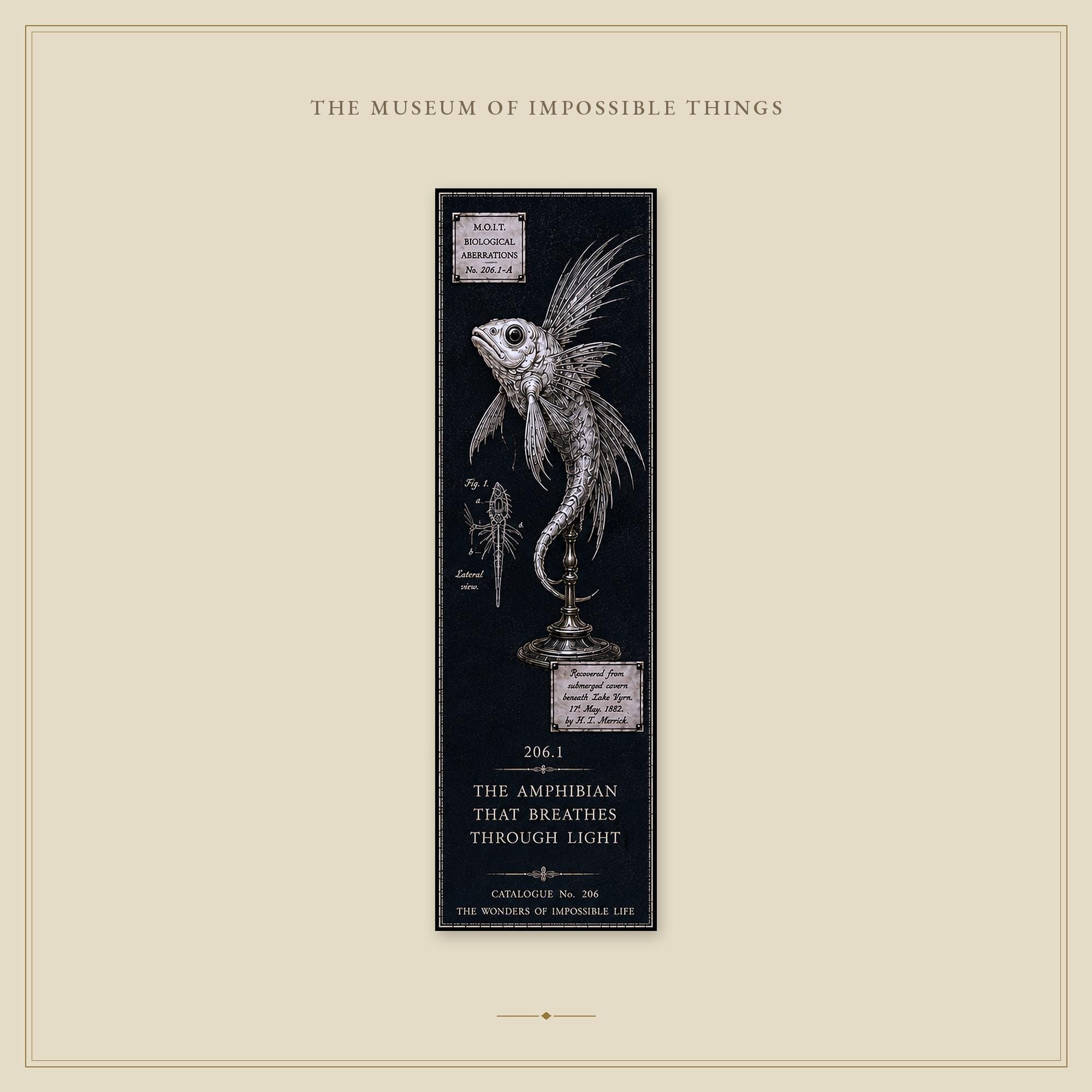 Wonders of Impossible Life Bookmark | Dark Academia Set of 5 | Standard or Magnetic | Gothic Cabinet of Curiosities