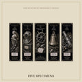 The Shipwreck Relics Bookmark | Dark Academia Set of 5 | Standard or Magnetic | Gothic Cabinet of Curiosities
