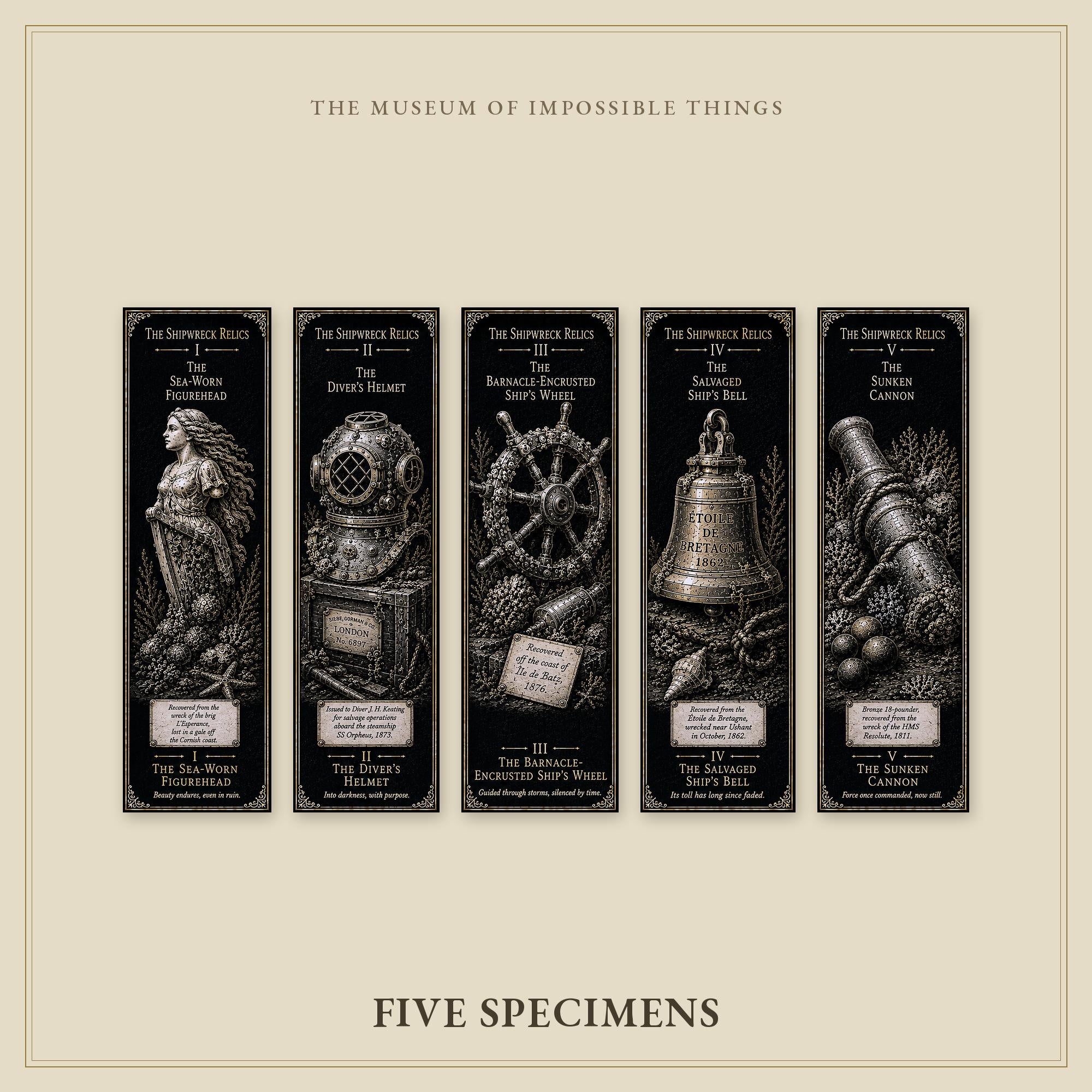 The Shipwreck Relics Bookmark | Dark Academia Set of 5 | Standard or Magnetic | Gothic Cabinet of Curiosities