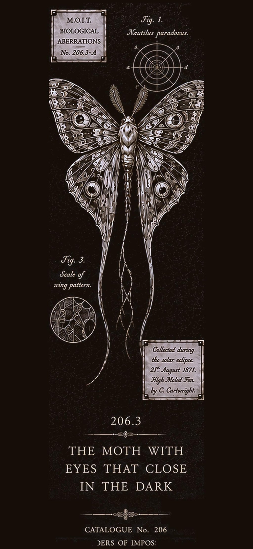 Dark Academia Phone Wallpaper Bundle | Cabinet of Curiosities Lock Screen (Digital Download)
