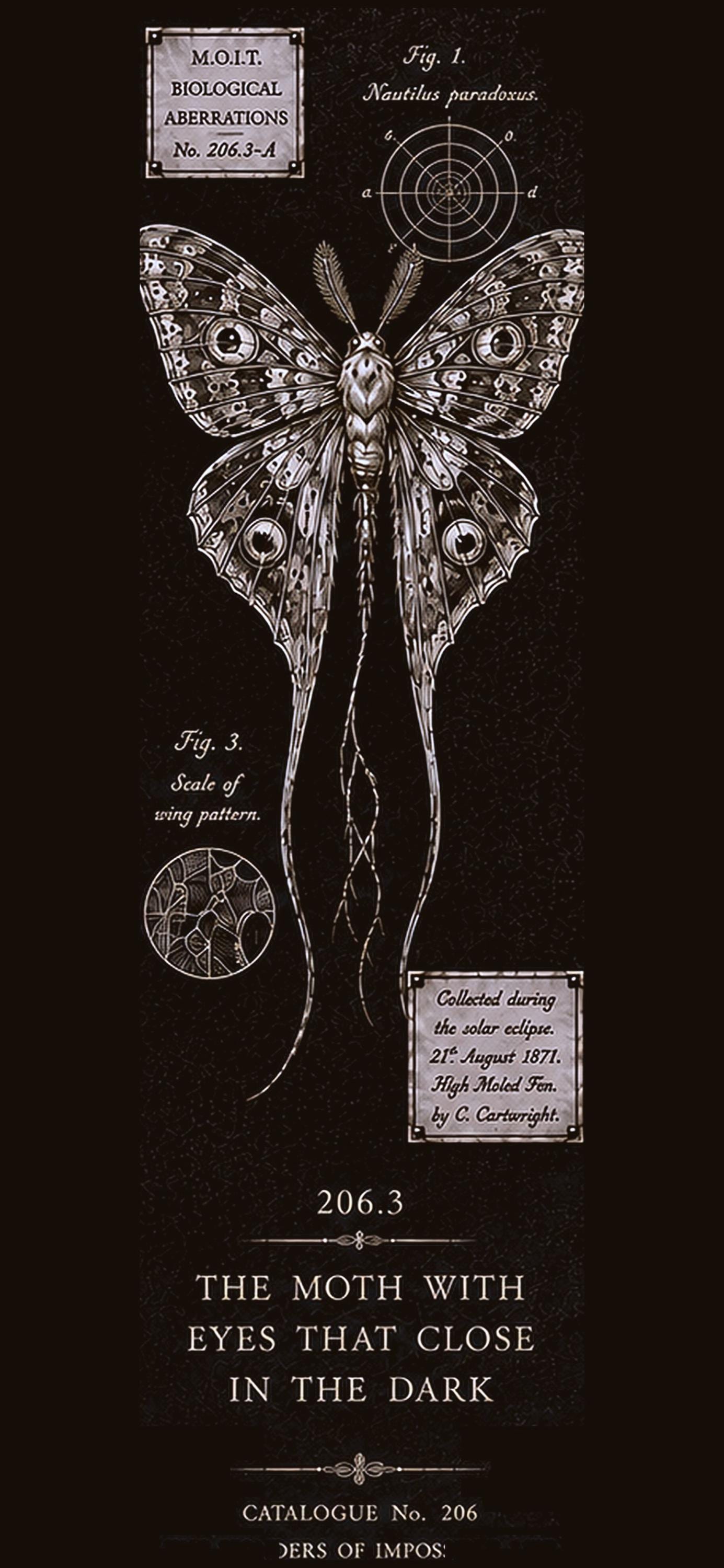 Dark Academia Phone Wallpaper Bundle | Cabinet of Curiosities Lock Screen (Digital Download)