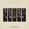 Unclassified Specimens Bookmark | Dark Academia Set of 5 | Standard or Magnetic | Gothic Cabinet of Curiosities