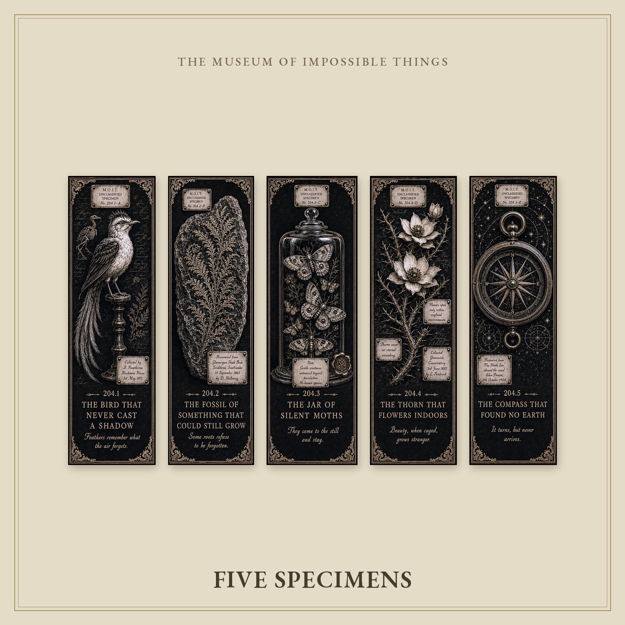 Unclassified Specimens Bookmark | Dark Academia Set of 5 | Standard or Magnetic | Gothic Cabinet of Curiosities